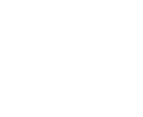 Streams of Life International